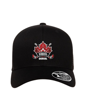 Embroidered DBHL Flexfit Snapback Cap