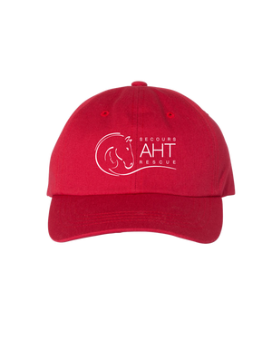 Embroidered A Horse Tale Hat