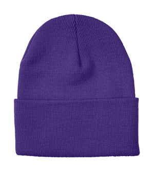 ATC C100 Everyday Knit Cuff Toque front view - Purple