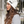 PCOT Cuffed Beanie - Embroidered