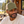 Flexfit 110M 110® Mesh-Back Cap in Olive/ Khaki, lifestyle view