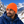 CSW 24/7 H08012 Ember Fleece-Lined Knit Cuff Toque in Intense Orange — winter lifestyle mockup