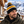 CX2 H08080 Hat Trick Striped Pom-Pom Toque in Black/Gold/White — winter lifestyle mockup