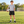 CX2 P4485Y Turbo Youth Mesh Athletic Shorts with Pockets — lifestyle photo