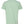 Next Level 6210 Unisex CVC Tee in Mint — supplier back view