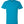 Next Level 6210 Unisex CVC Tee in Turquoise — supplier front view