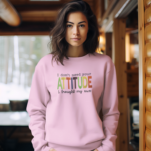 Embroidered I Don't Need Your Attitude Sweater