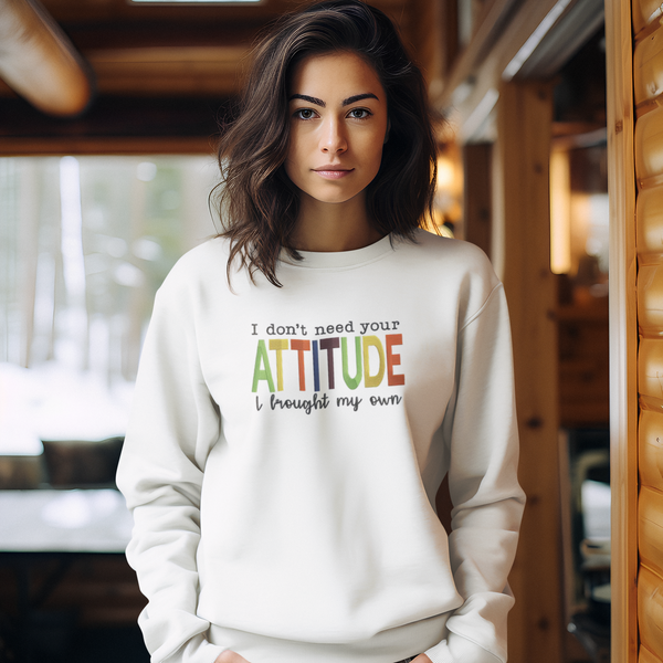 Embroidered I Don't Need Your Attitude Sweater